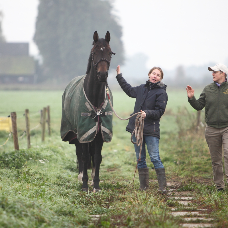 Als je paard een grote 'X' houding laat zien, moet je zelf ook een grote X gebruiken en de omgeving scannen. Al snel kunnen jullie naar een medium X houding, zoals Laura (rechts) laat zien..